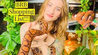 Everything You Need For A Brazilian Rainbow Boa!!!