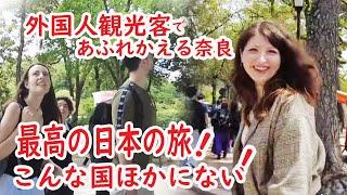 ［リアルな海外の反応］外国人観光客 最高の旅！日本こんな国見たことない　奈良  中谷堂の高速餅つきに海外熱視線