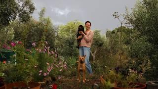 Stormy Season on our Off Grid Acre Homestead