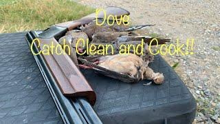 Dove Hunt 2020 [[ Catch Clean and Cook!!]] My Favorite Recipe!