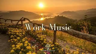 Focus Music for Work and Studying, Calm Background Music