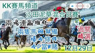 2024年12月29日沙田泥草混合日赛(過關精選)