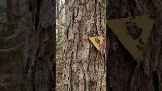 Very old Kejimkujik trail marker. #hiking #nature #backpacking