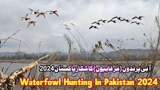 Waterfowl Hunting | Duck Hunting 2024 Pakistan | Bird Hunting | Murghabi Ka Shikar