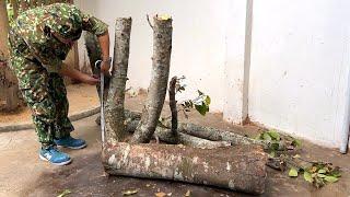 Let's Watch Creative Genius Boy Turn A Worthless Tree Stump Into A Thousand Dollar Coffee Table !