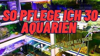 SO pflege ich 30 AQUARIEN I TAX