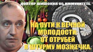 Доктор Шишонин об "акульем иммунитете" человека и цене "белой крови" для жизни и смерти. / #ЗАУГЛОМ