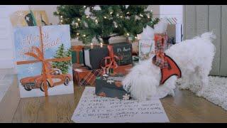 Chris Isaak | "Almost Christmas" (Official Video)