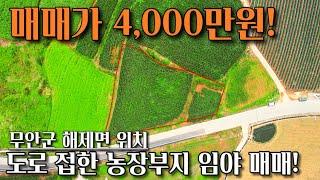 [전남임야매매] 매물번호#207 주말농장부지 임야 매매 ! 무안군 해제면 신정리 시골땅 촌땅 토지 매매