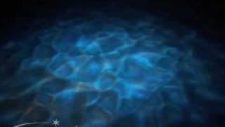 WildTech Waterwave