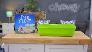 Ever Clean Kitty Litter | Chewy