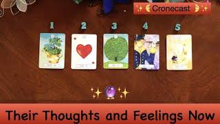 What are their thoughts and feelings now?  Timeless Tarot Pick a Card Reading