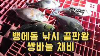 효과 만점! 입질보장 100%