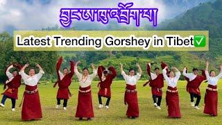 New Trending Gorshey in Tibet ||Rabsel Palden New Song|| ལྷག་དཀར་བཟང་། རབ་གསལ་དཔལ་ལྡན་གྱི་གཞས་གསར་པ།