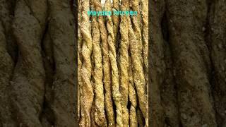 Crispy thyme sticks #food #shortsyoutube #shortvideo