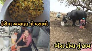 કેરીના અથાણા નો બોરો કેટલા દિવસ રાખ્યો | જીયાનની કાલી ઘેલી ભાષામાં વિડીયો | live village life