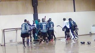 Best Ball Hockey Fist Fights - Best Ball Hockey Brawls ( Raw ) UFC + MMA ( Not Bench-Clearing )