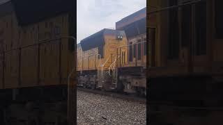 Union Pacific Freight Train #shorts #trains #railfan #train #railfanning #trainwatching