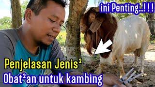 PENJELASAN OBAT²AN OLEH MANTRI HEWAN BPK ASHARI