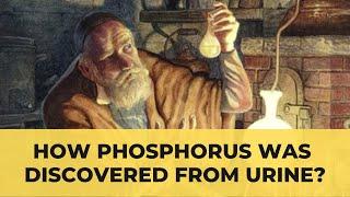 Phosphorus was discovered from Urine? - TIL003