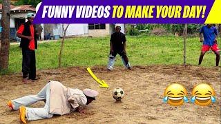 Top funny videos 