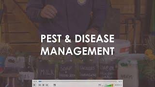 5 Vegetable Pest Management