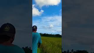 #nature #buhayprobinsya #fyp