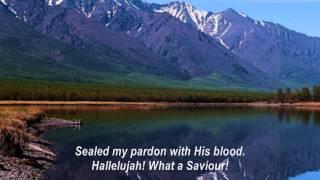 Hallelujah! What A Saviour! (Man of Sorrows, What A Name)