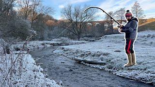 This UNTOUCHED Stream is a Fishing PARADISE! (You won't believe this...) ️