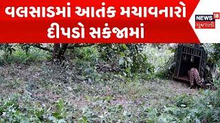 Valsad News : વલસાડમાં આતંક મચાવનારો દીપડો સકંજામાં | Wild Life | Gujarati Samachar | News18