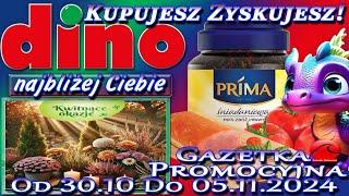 Dino Nowa Gazetka Promocyjna Od Środy 30.10.2024 Blisko Ciebie – Kupujesz Zyskujesz