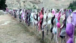 Cardrona Bra Fence