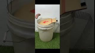 The most perfact homemade mouse trap idea using a plastic bucket. best mouse trap