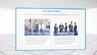 MLS Services