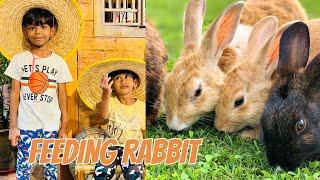 I Am Feeding Rabbit  | azlan and azman show