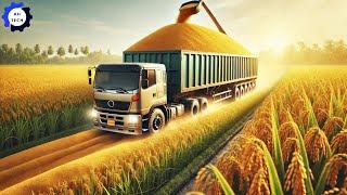 How Farmer China Harvest and Process 3.5 Million Tons of Rice This Way | Agriculture Technology