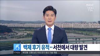 [대전MBC뉴스]백제 건물터 발견..사라진 사찰 확인