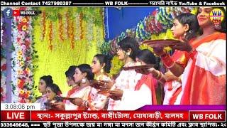 সকুল্লাপুর মনসা গানের  সরাসরি লাইভ |  Joy Maa Manasa Jatra Pala Gan | Sakullapur Manasa Gan Live