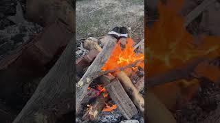 How To Get A Fire Going #fire #hack #bushcraft @stevenicsadventures