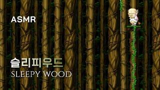 슬리피우드 고급 회복사우나실 Maple Story, Ambience, Study, Relax, Peaceful, Sleep