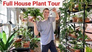 House Plant Tour - Over 100 Different Plants in my Home - 2023