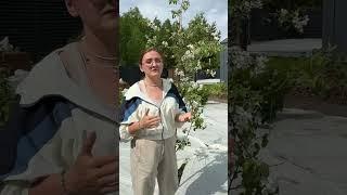 Чем обработать деревья во время цветения?