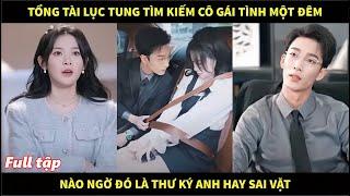 Tổng tài lục tung thành phố tìm cô gái tình một đêm, nào ngờ người đó là cô thư ký anh hay sai vặt