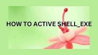 HOW TO ACTIVE SHELL EXE