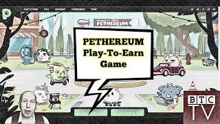 Pethereum Blockchain Game - Play-to-Earn Metaverse with NFTs | BTCTV