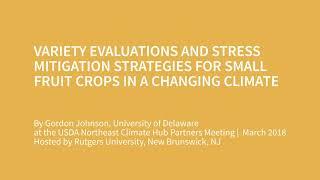 Variety Evaluations and Stress Mitigation Strategies for Small Fruit Crops in a Changing Climate