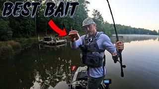 The Best Bait For Lethargic Summer Bass