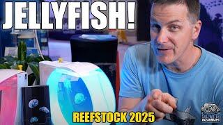 JELLYFISH Tanks, Proper Care and Maintenance - Reefstock Denver 2025