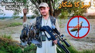 Russian dove Hunting in Pakistan | Modified P35 and Baikal Mp155 | 2024-2025 Season