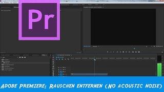 Adobe Premiere Rauschen entfernen (No acoustic noise) DeNoiser